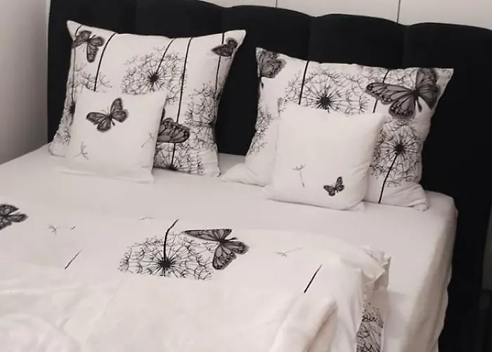 Warowna Centrum דירה